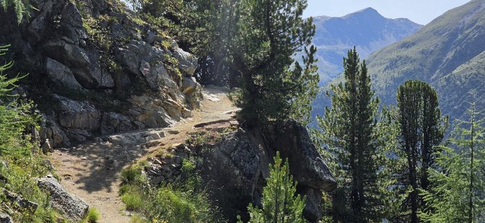 Kamienisty singletrack biegnący zboczem