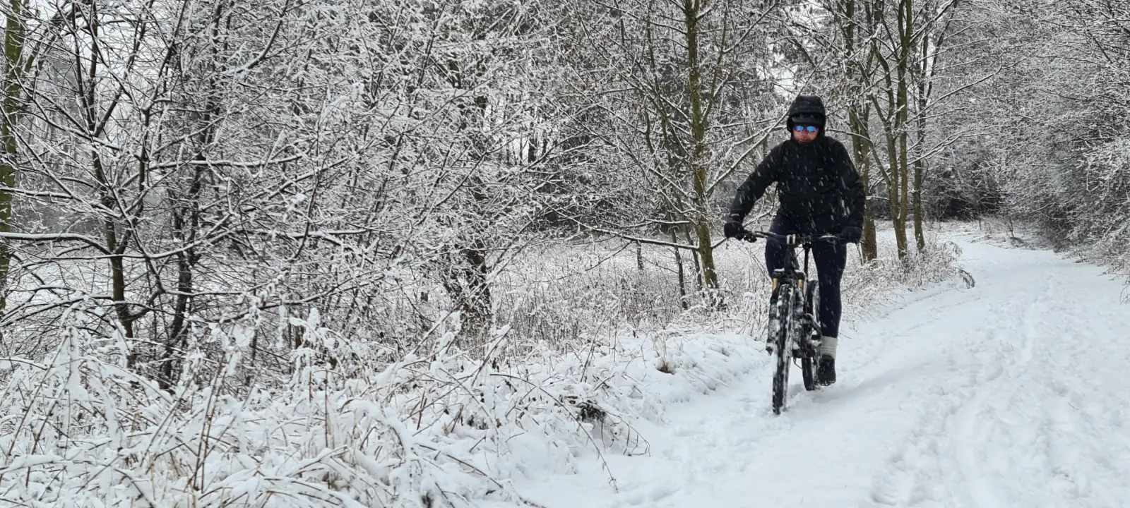 Winter on the trail in Dąbrówka