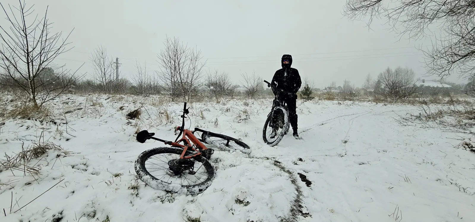 Bike in the winter undergrowth
