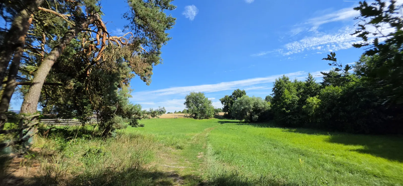 Dąbrówka