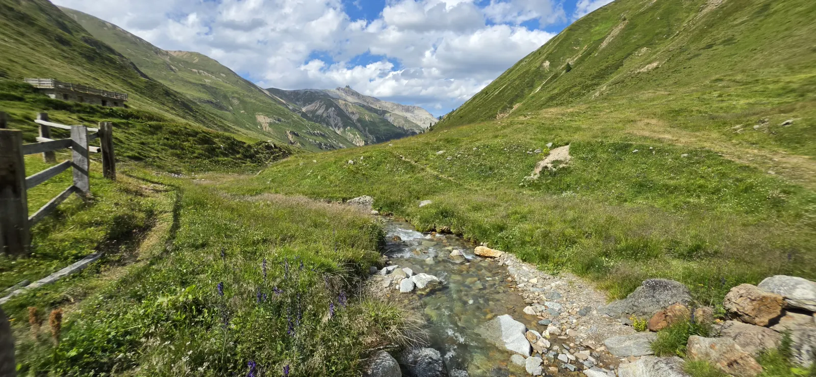 Kolejka na Alp Trela
